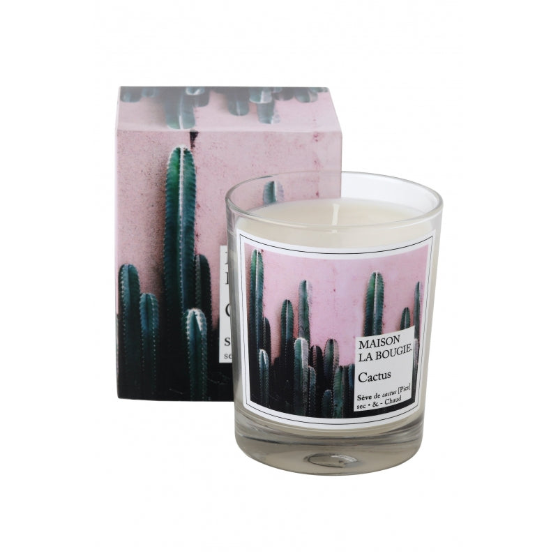 cactus scented candle 2