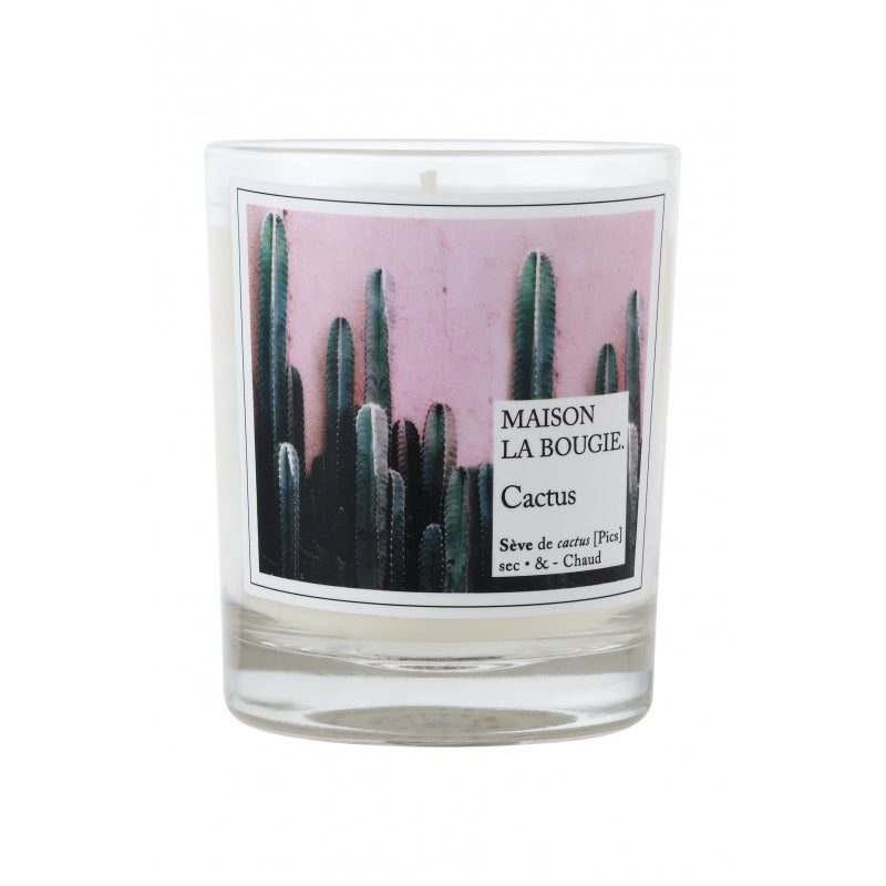 cactus scented candle 1