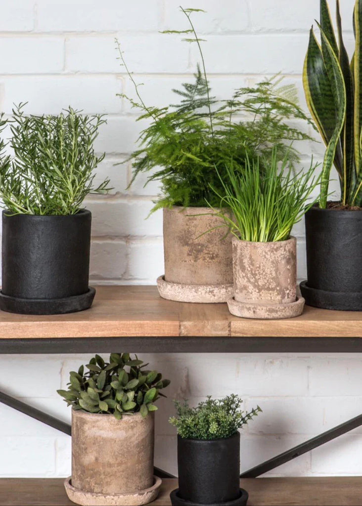 terra planter in coal in various sizes by design by dassie artisan 2