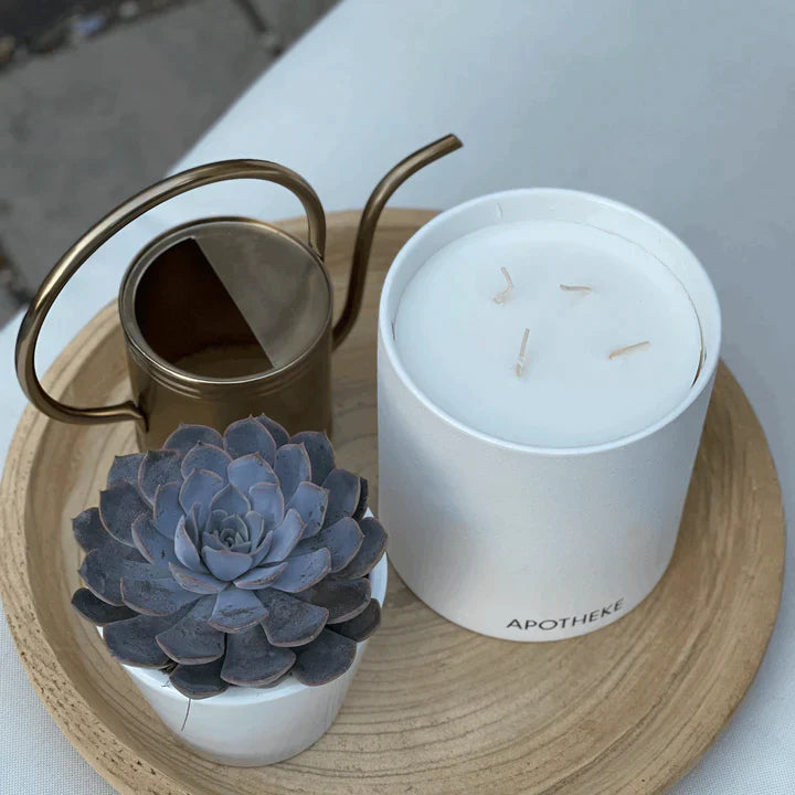 white vetiver concrete 4 wick indoor outdoor candle 5